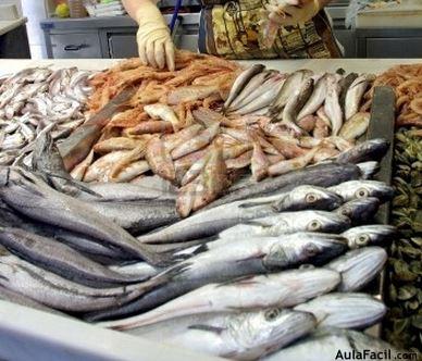 Beneficios de consumir pescado. Salud Aulafacil.com