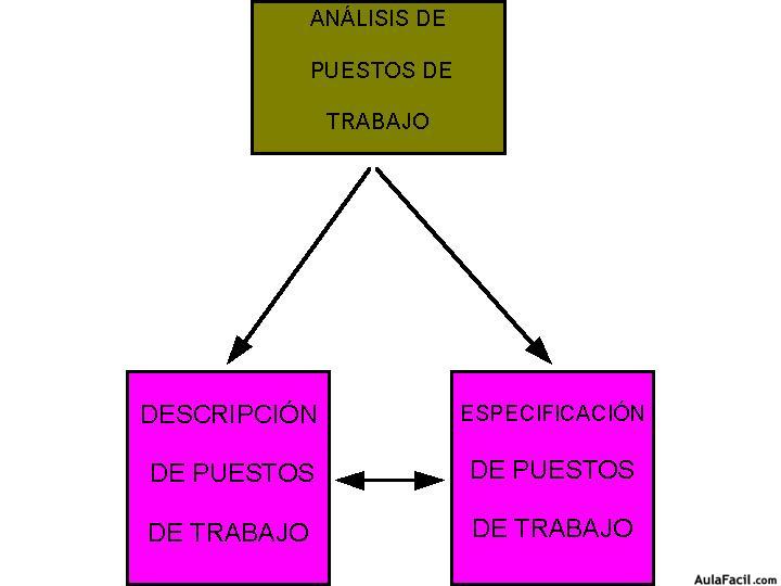 ?▷【 Descripción y especificación de puestos de trabajo - Gestión de  Recursos Humanos 】