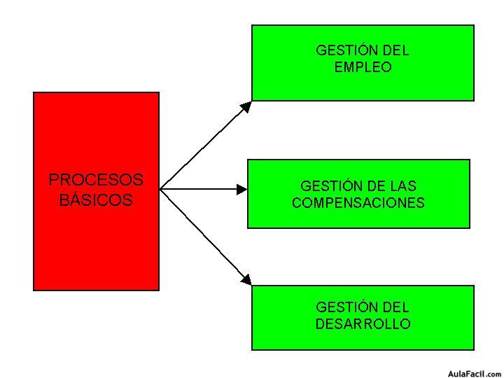 recursos humanos