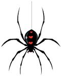 ARAÑA