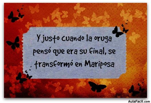 Y justo cuando la oruga pensó que era su final, se transformó en Mariposa