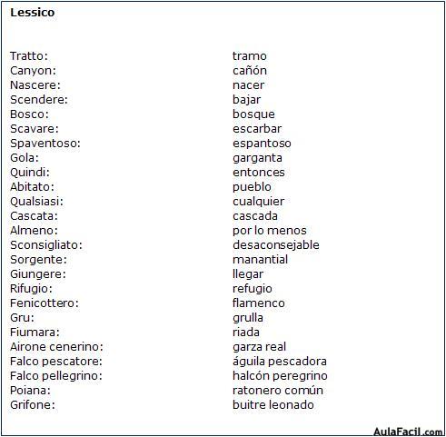 Vocabulario