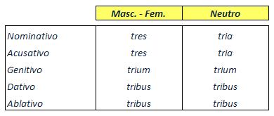 Resultat d'imatges de unus una unum llati