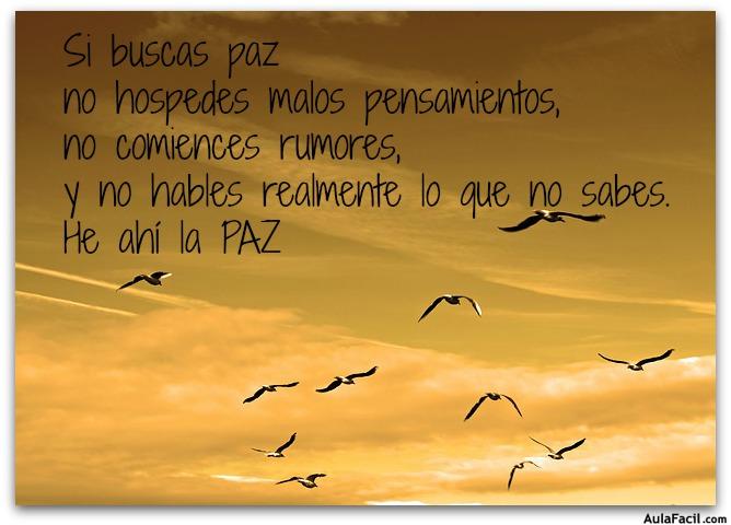 si buscas paz