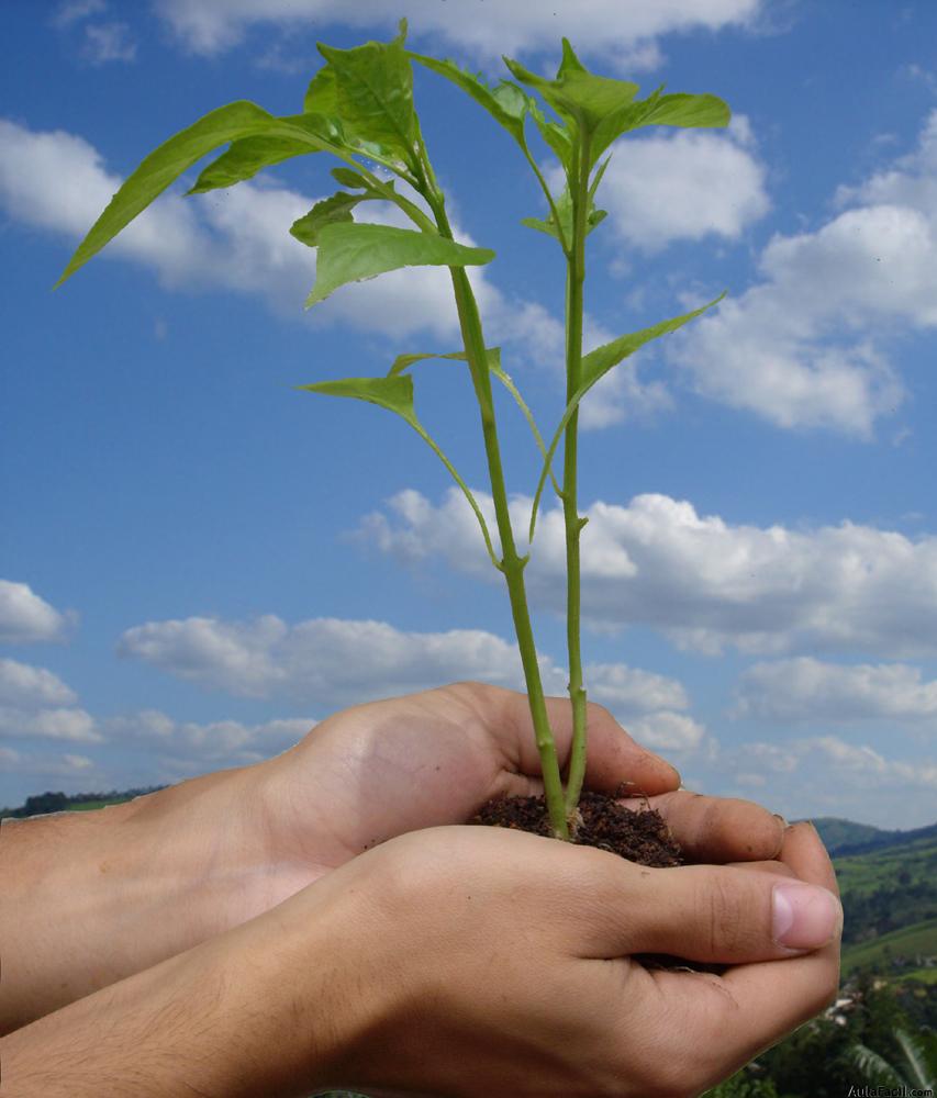 Educación Ambiental