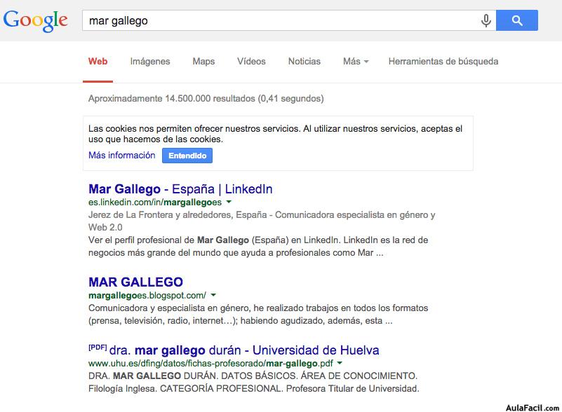 posicionamiento mar gallego, experta en web 2.0