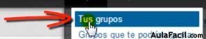 Tus grupos.