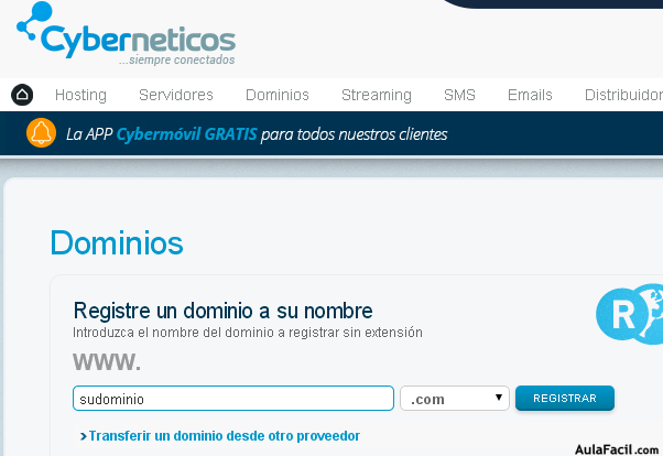 Cyberneticos - Registro de dominio