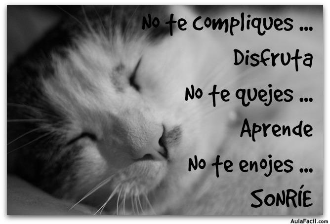 No te compliques ... Disfruta No te quejes ... Aprende No te enojes ... SONRÍE