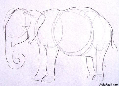 🥇▷【 El elefante - Cómo dibujar Superdeformed y animales manga 】