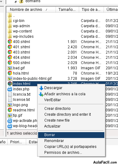 borrar fichero index.html