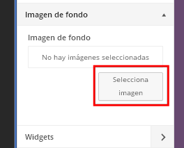 seleccionar imagen de fondo