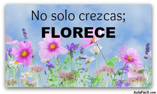 No solo crezcas; FLORECE