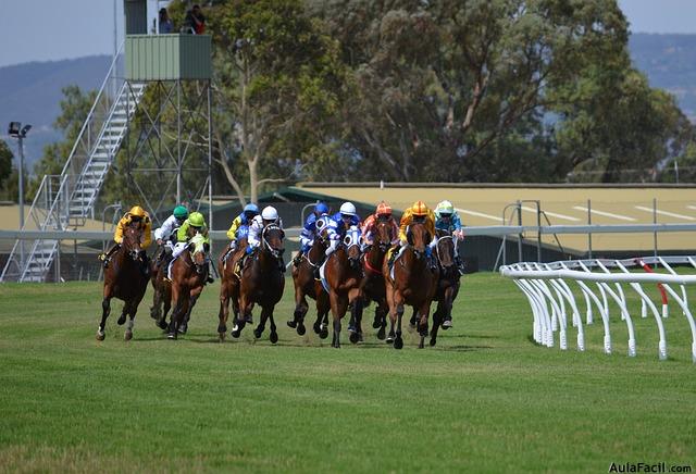 carrera caballos