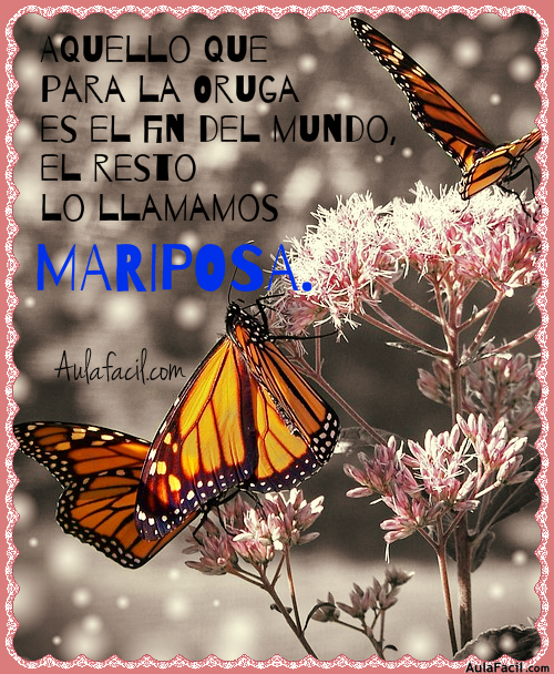 Aquello que para la Oruga es el fin del mundo, el resto lo llamados MARIPOSA.