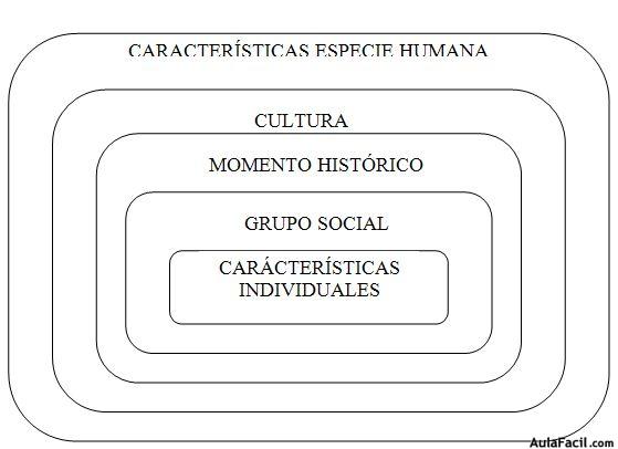 Desarrollo-evolutivo-Infancia