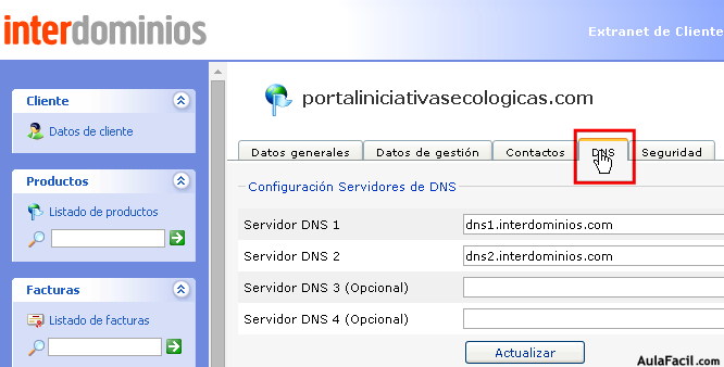 pestaña DNS