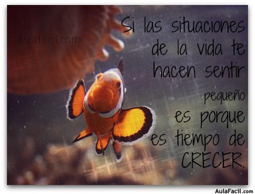 Si las situaciones de la vida te hacen sentir pequeño es porque es tiempo de CRECER. 