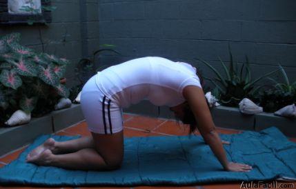 yoga diario