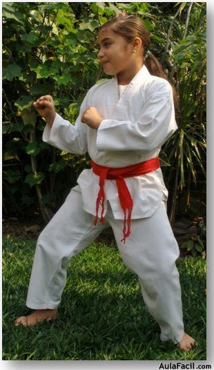 tkd basico niños