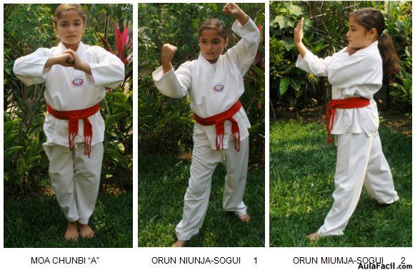 tkd basico niños