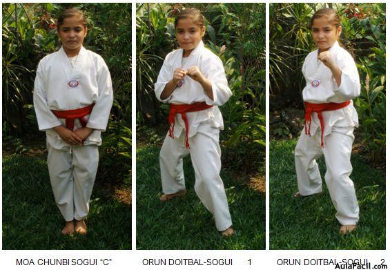 tkd basico niños