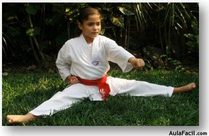 tkd basico niños