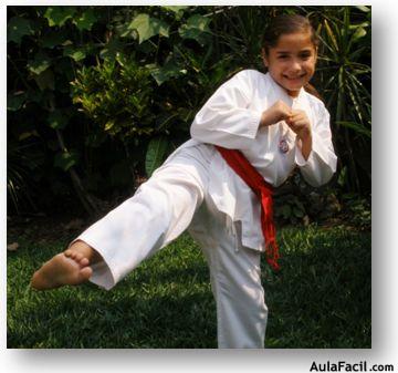 tkd basico niños