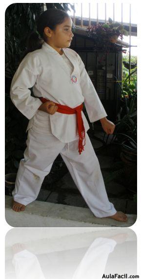 TKD BASICO NIÑOS