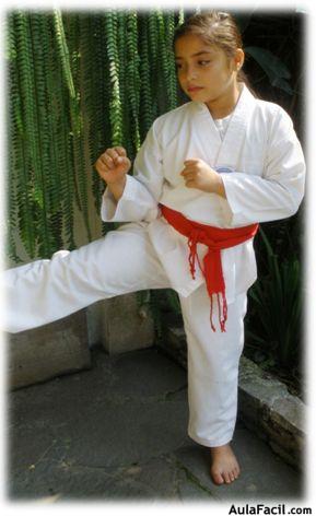 tkd basico niños