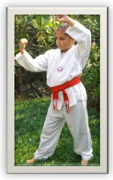 tkd basico niños