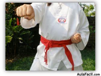 tkd basico niños