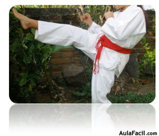 tkd basico niños