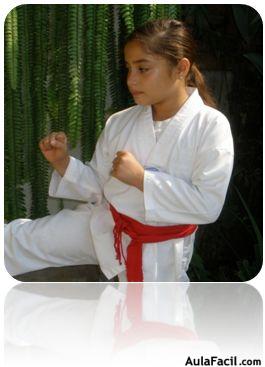 tkd basico niños