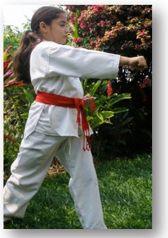 tkd basico niños