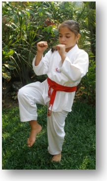 tkd basico niños