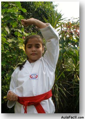 tkd basico niños