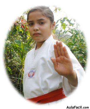 tkd basico niños