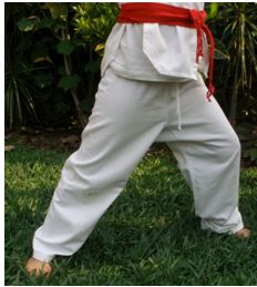 tkd basico niños