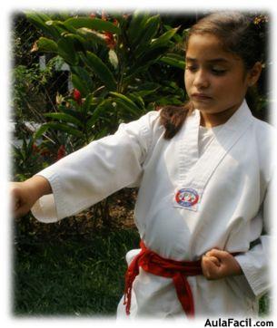 tkd basico niños