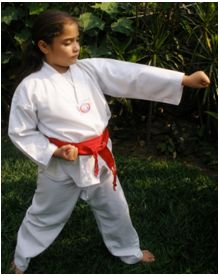 tkd basico niños