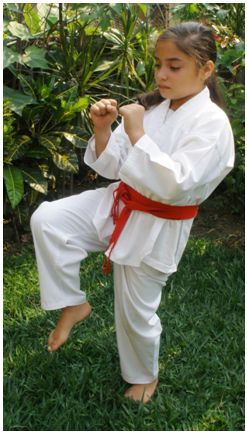 tkd basico niños