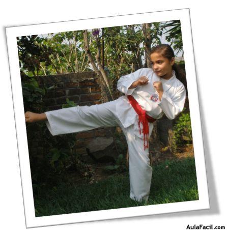 tkd basico niños