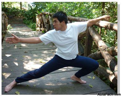 tai chi chuan