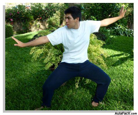 tai chi chuan