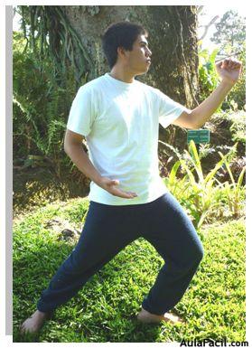 tai chi chuan