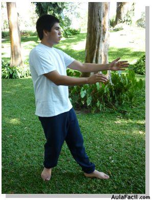 tai chi chuan