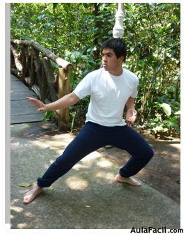 tai chi chuan