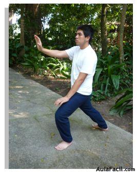 tai chi chuan