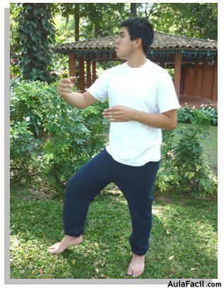 tai chi chuan